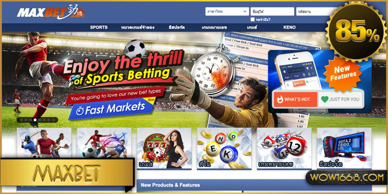 Maxbet/IBCbet